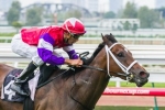 Queensland Guineas last chance for Stradbroke Handicap hopefuls Queensland Guineas last chance for Stradbroke Handicap hopefuls