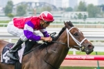 Queensland Guineas last chance for Stradbroke Handicap hopefuls