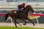 Richards looking to boost his Spring Carnival stocks Richards looking to boost his Spring Carnival stocks