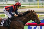 Marcado scores first up win in Talindert Stakes Marcado scores first up win in Talindert Stakes