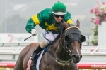 Snitzerland on trial for T J Smith in Challenge Stakes