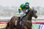 Snitzerland to head to paddock, out of BTC Cup