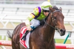 Zahra leaning to start Solicit in Phar Lap Stakes Zahra leaning to start Solicit in Phar Lap Stakes
