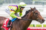 Solicit leads all the way to win The Mitty’s Vanity Solicit leads all the way to win The Mitty’s Vanity