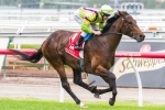 Solicit Chasing Second Straight Win In Kewney Stakes Solicit Chasing Second Straight Win In Kewney Stakes