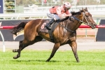 No Newmarket for Black Caviar No Newmarket for Black Caviar