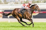 Black Caviar looking for win 24 in William Reid Stakes