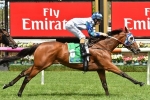 Kiwi filly Savvy Dreams among nominations for Auraria Stakes
