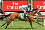 Harlow Gold heads Lindsay Park’s 2017 Schweppes Oaks nominations Harlow Gold heads Lindsay Park’s 2017 Schweppes Oaks nominations