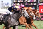 2016 Black Caviar Lightning Stakes Results: Chautauqua Wins