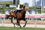 Pemberley peaking for Tattersall’s Cup Pemberley peaking for Tattersall’s Cup