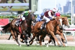 Group 1s Call Sunshine Coast Guineas Winner Tivaci Group 1s Call Sunshine Coast Guineas Winner Tivaci