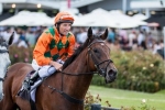 Petits Filous’ Quezette Stakes Odds Continue To Shorten Petits Filous’ Quezette Stakes Odds Continue To Shorten