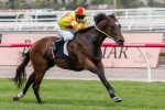 2015 Black Caviar Lightning Stakes Results: Lankan Rupee Back To His Best