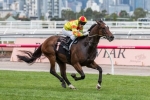 Lankan Rupee Wins Barrier Trial Ahead Of Schillaci Stakes Return Lankan Rupee Wins Barrier Trial Ahead Of Schillaci Stakes Return