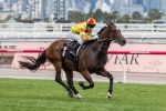 Lankan Rupee Wins Barrier Trial Ahead Of Schillaci Stakes Return