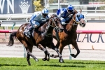 Take Pride Upstages Secret Agenda In Champagne Stakes Take Pride Upstages Secret Agenda In Champagne Stakes