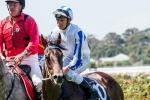 Pasadena Girl late entry in Inglis Sires Field Pasadena Girl late entry in Inglis Sires Field