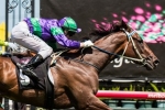 Sweet and Speedy to take on the boys in Australian Guineas Sweet and Speedy to take on the boys in Australian Guineas