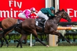 No Aurie’s Star Handicap For Disposition