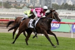 Bletchingly Stakes 2015: Angels Beach A Risk At 1200 Metres