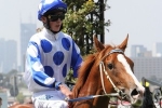 Chad Schofield set to miss the start of Spring Carnival