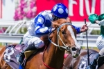 Tuesday gallop to test Bring Me The Maid for Thousand Guineas Tuesday gallop to test Bring Me The Maid for Thousand Guineas