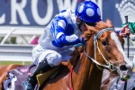 Golden Rose Stakes odds for Bring Me The Maid continue to shorten