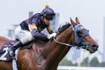 Boss is the key for Cooldini in Adelaide Cup