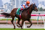 Mouro Looking to Bounce Back in Lord Stakes Mouro Looking to Bounce Back in Lord Stakes
