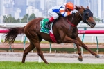 Mouro set for Doncaster Mile after TAB Rewards Stakes win