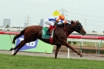 Festival Stakes Likely For Mouro Festival Stakes Likely For Mouro