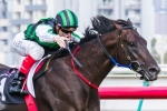 Shamus Award to back up in Australian Cup