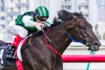 Shamus Award to back up in Australian Cup Shamus Award to back up in Australian Cup