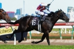 Ferlax On Cox Plate Path After Impressive Memsie Stakes Performance