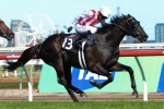 Ferlax Retired To Stud Ferlax Retired To Stud