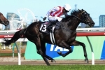 Plenty of chances in Rosehill Guineas