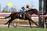 Hey Doc Is The 2017 Australian Guineas Winner Hey Doc Is The 2017 Australian Guineas Winner