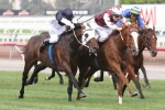 Australian Cup start on the cards for Palentino