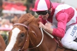 Real Love On Track For Adelaide Cup After Roy Higgins Quality Win
