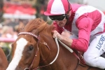 Real Love clear Adelaide Cup favourite after Signoff scratching Real Love clear Adelaide Cup favourite after Signoff scratching