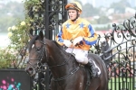 No Chandler Macleod Stakes for Xtravagant No Chandler Macleod Stakes for Xtravagant
