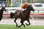 William Reid Stakes May Figure for Bob Hoysted Handicap Winner Chloe In Paris William Reid Stakes May Figure for Bob Hoysted Handicap Winner Chloe In Paris
