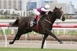Three For Team Hope In 2015 Let’s Elope Stakes Field