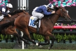 Post D’France can give Brown his 2nd Darwin Cup win
