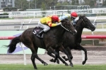 Ready For Victory Set For Caulfield Guineas