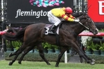 Ready For Victory needs clear run in Caulfield Guineas Prelude
