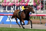 Rodd To Reunite With Bonaria In Queen Of The Turf Stakes