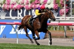 Bonaria Impresses In Track Work Ahead Of Coolmore Classic