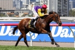 Blazer Stakes The Right Race For Bonaria